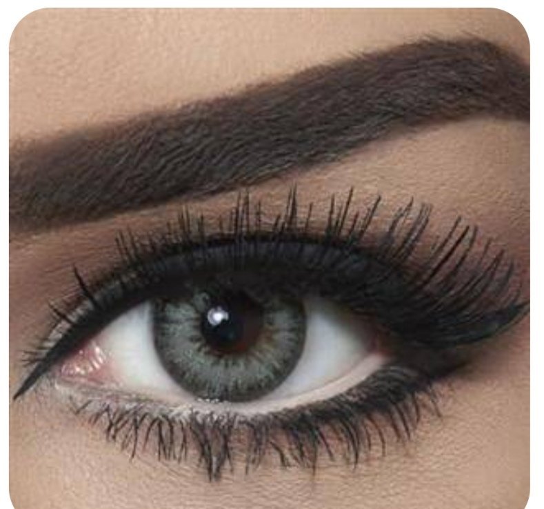Bella Colored Lenses - Gray Green - 3 Months