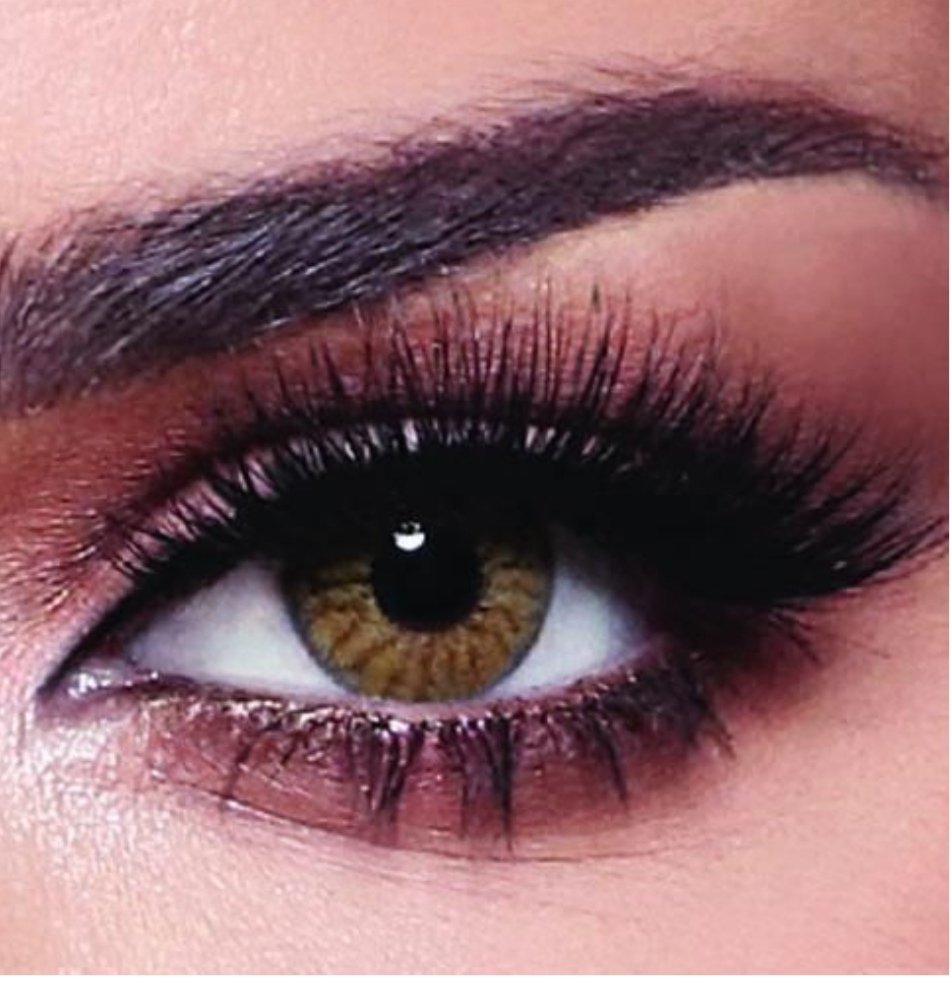 Bella Colored Lenses - Daily - Radiant Hazelnut